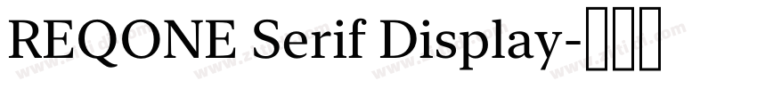 REQONE Serif Display字体转换 REQONE Serif Display字体转换